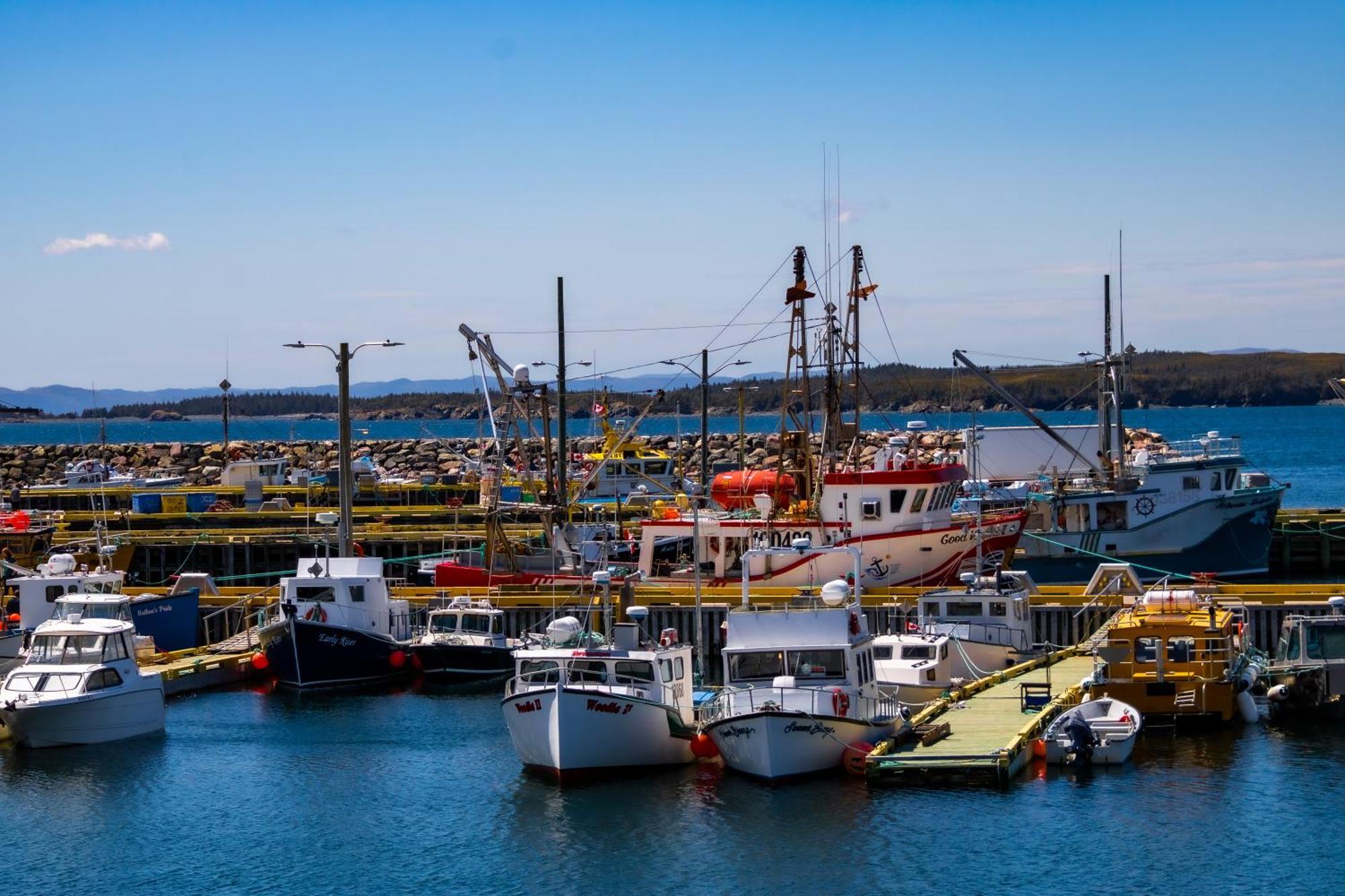 The Killick Inn & Suites Arnold's Cove エクステリア 写真